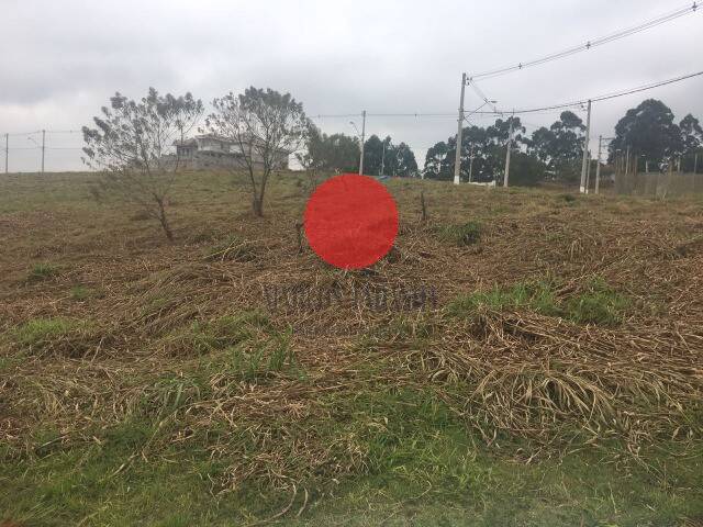 #2443 - Área para Venda em Santana de Parnaíba - SP - 1