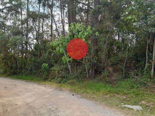 Área para Venda em Embu das Artes - 4