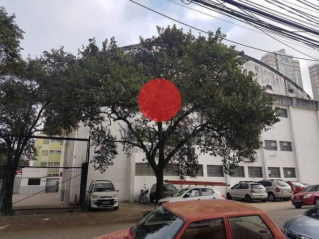 Galpão para Venda em São Paulo - 4