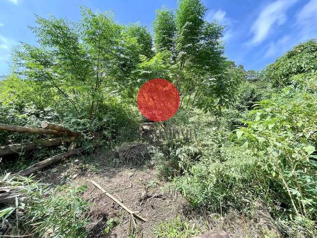 Terreno em condomínio para Venda em Cotia - 5