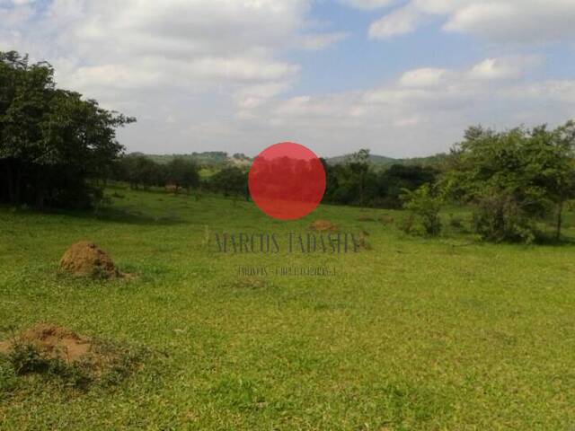 Venda em Sítio Verde - Sorocaba